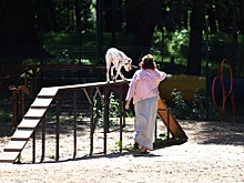 ГОСТ для собачьих площадок заработает в России с 1 апреля 2026 года