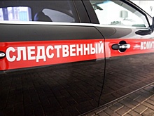 В Ульяновской области арестовали обвиняемого в убийстве школьницы