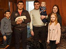 Лабрадор для мэра. Вологодская семья подарила щенка Сергею Воропанову