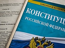 Секс-меньшинства надругались над поправками в Конституцию порно-ответом на видео ФАН