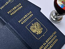 В МЭР рассказали об успехах программы «золотых виз» в России