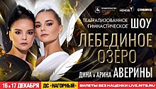 Показы нижегородского шоу сестер Авериных «Лебединое озеро» будут социальными