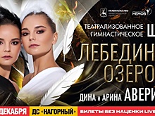 Показы нижегородского шоу сестер Авериных «Лебединое озеро» будут социальными