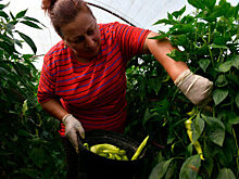 Названы самые стабильные сферы труда в России