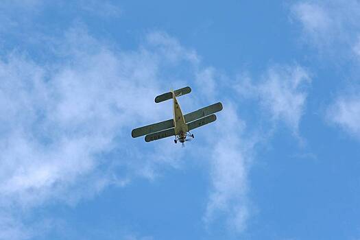 Названа причина крушения самолета в российском регионе