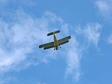 Названа причина крушения самолета в российском регионе