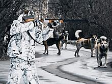 В Бурятии едва справляются с наплывом желающих зарегистрировать собак