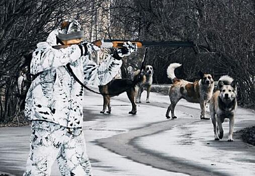 В Бурятии едва справляются с наплывом желающих зарегистрировать собак