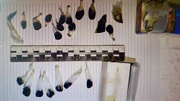 Полиция Чукотского автономного округа, задержав покупателя наркотиков, вышла на след торговца зельем