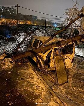Непогода «наломала дров» во Владивостоке