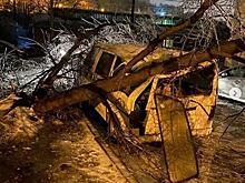 Непогода «наломала дров» во Владивостоке