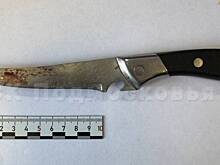 Суд арестовал женщину, напавшую на сожителя с ножом в Подмосковье