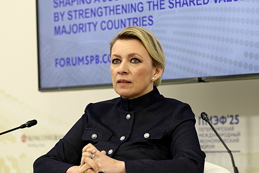 В МИД РФ отреагировали на призывы Литвы перекрыть транзит через Калининградскую область