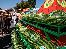 Арбузный фестиваль в Камышине в 2022 году пройдет в новом формате