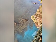 «Это все равно яд»: сочинский орнитолог высказался о загрязнении реки Хосты