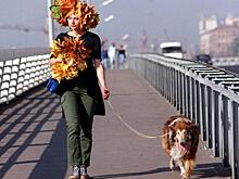 Когда в России наступит "бабье лето"