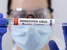 ВОЗ отменила режим ЧС в мире из-за оспы обезьян