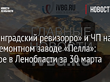 «Ленинградский ревизорро» и ЧП на судоремонтном заводе «Пелла»: главное в Ленобласти за 30 марта