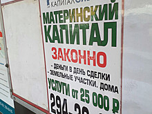 Мошенничеству с материнским капиталом поставят заслон