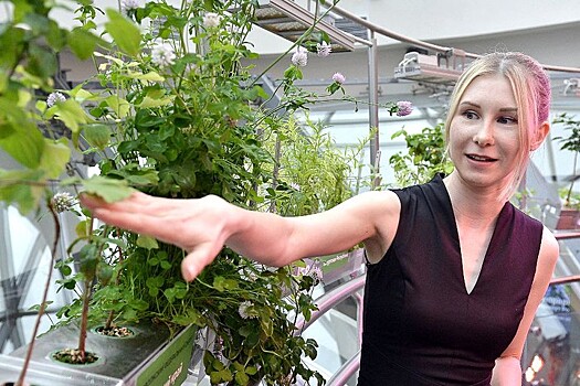 Узнать историю российских регионов помогут растени