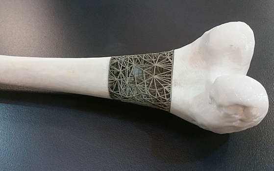 Разработан новый «мимикрический» аналог костей
