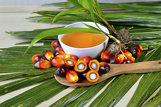 Эксперт сообщила, что пальмовое масло может быть безвредным