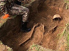 Родственников солдата Василия Плетнева разыскивают на Вологодчине