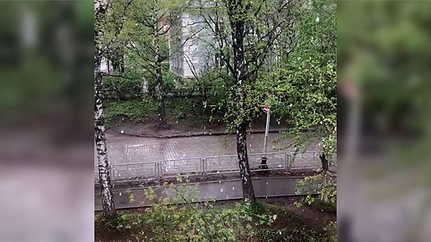 На Урал вернулась зима: в Свердловской области выпал снег
