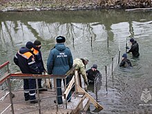 Пожарные готовят иордани к купанию