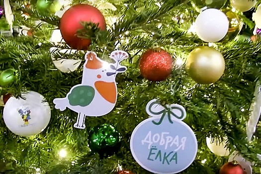 В Москве проходят благотворительные акции перед новогодними праздниками