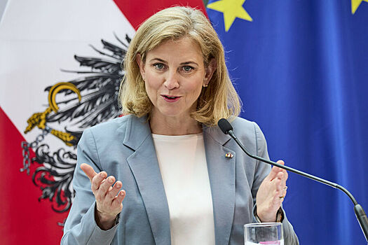 Глава МИД Австрии назвала два ключевых условия для мира на Украине