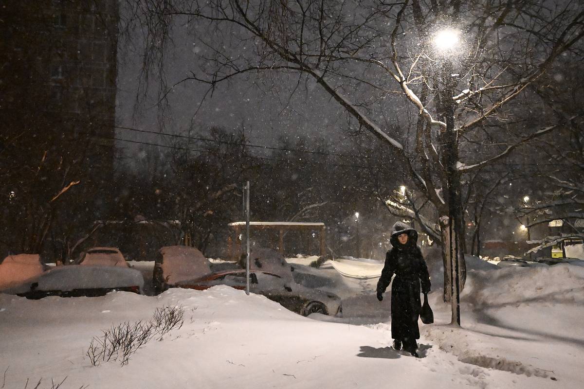 ���������&nbsp; ������������ ������ �������� ����