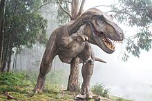 Ученые: человек лишен генов долголетия из-за динозавров