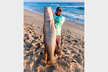 Рыбак поймал самого большого горбыля в мире