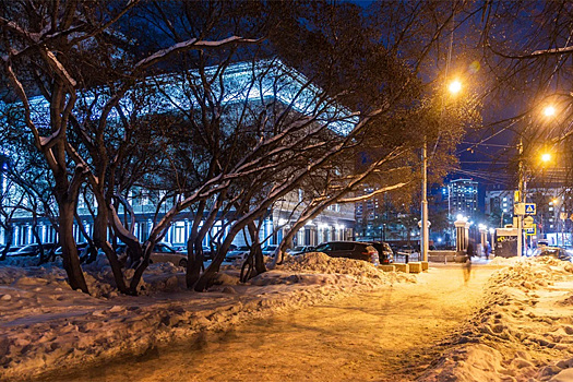Прогноз погоды в Новосибирске на 16-19 января сделали синоптики