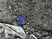 В Волгограде задержали подозреваемых в покушении на сбыт наркотиков