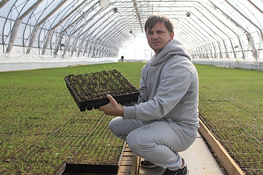 В Тюменской области построили лесопитомник полного цикла
