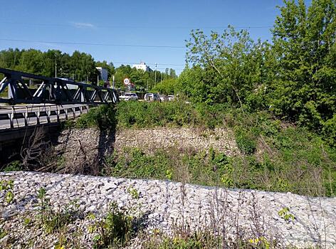 Овраг в Светлогорском переулке очистили от мусора