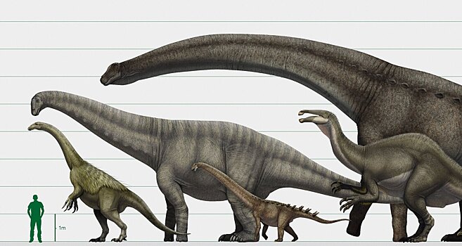 Ученые рассказали, как “взвешивают” динозавров