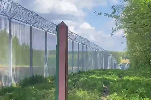 Второй с начала мая труп беженца обнаружили белорусские пограничники на границе с Латвией