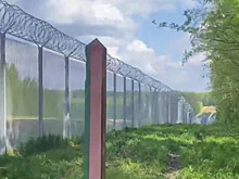 Второй с начала мая труп беженца обнаружили белорусские пограничники на границе с Латвией