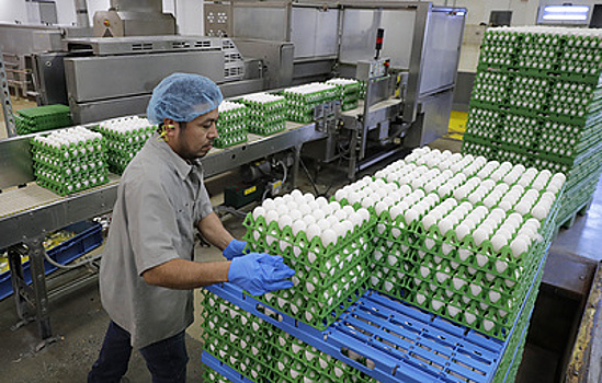 Россельхознадзор открыл поставки инкубационного яйца с шести турецких предприятий