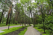 Заельцовский бор в Новосибирске получит статус охраняемой природной территории