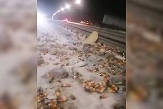 Россияне разобрали ящики пива с места ДТП после опрокидывания фуры на трассе