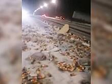 Россияне разобрали ящики пива с места ДТП после опрокидывания фуры на трассе