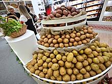 В России предложили снизить требования к форме картофеля