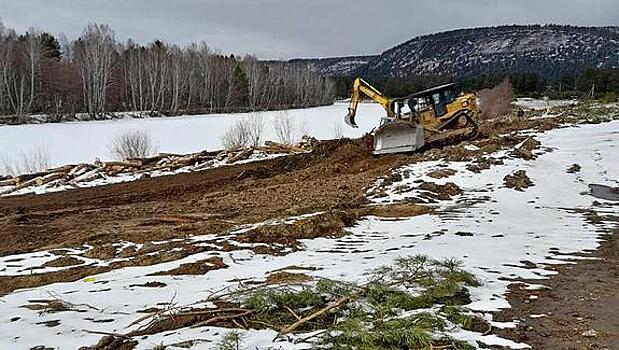 В Нижнеудинске спилили сосновую аллею по дороге к поселку Коблук