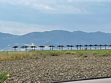 Вывезти нутрий с территории Суджукской лагуны требуют экологи Новороссийска