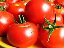 Жителей Ставрополя 24 июня приглашают на ярмарку