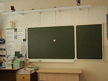 В Ижевске не будут отменять занятия в школе на улице Тимирязева из-за бегающей по городу рыси